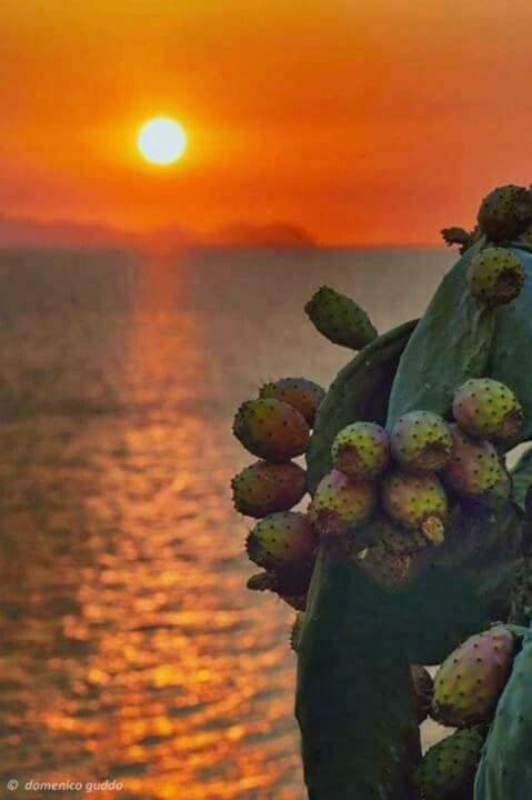 A Pozzallo Vicino Al Mare Villa Bagian luar foto