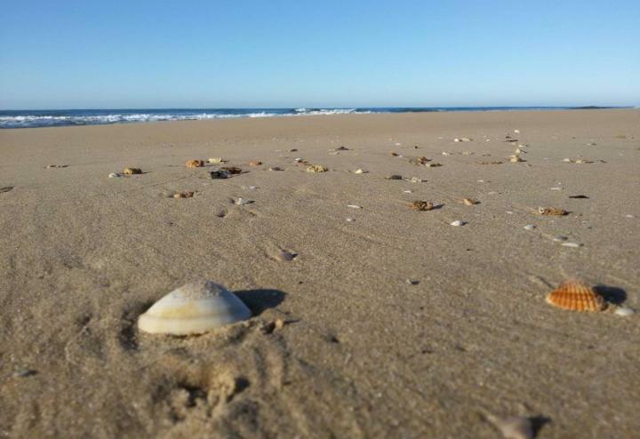 A Pozzallo Vicino Al Mare Villa Bagian luar foto